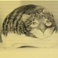 Kurt Humbel Theophil Maag