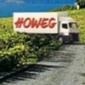 Howeg Inserat Rebstock